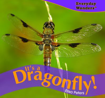 It's a dragonfly!
