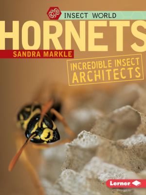 Hornets : incredible insect architects