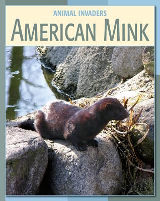 American mink