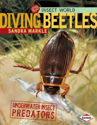 Diving beetles : underwater insect predators