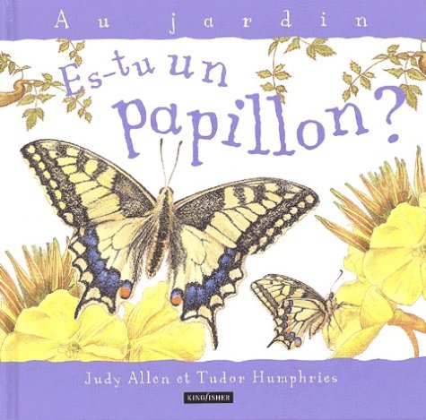 Es-tu un papillon?