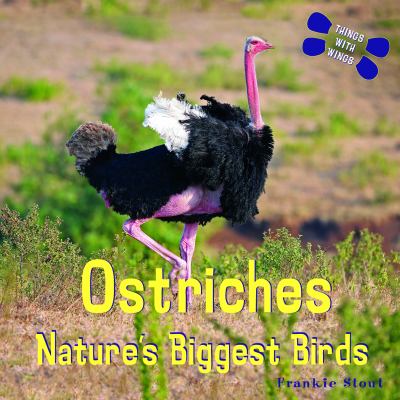 Ostriches : nature's biggest birds