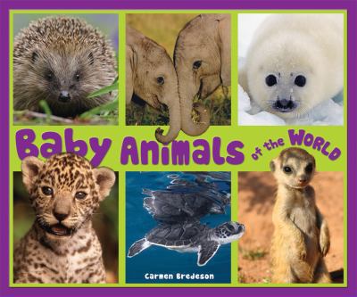 Baby animals of the world