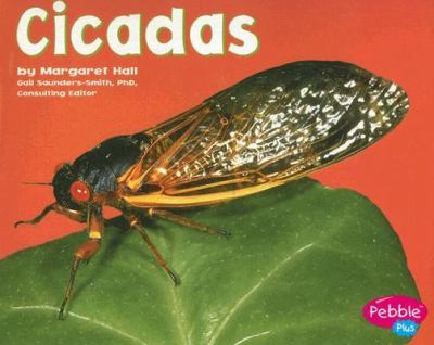 Cicadas