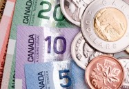 Loonies, toonies, credit & debit : financial literacy for Canadian teens.