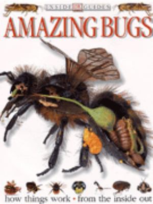 Amazing bugs