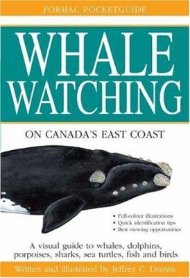 Whale watching on Canada's East Coast