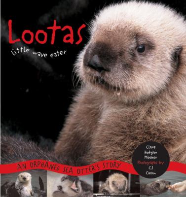 Lootas, little wave eater : an orphaned sea otter's story