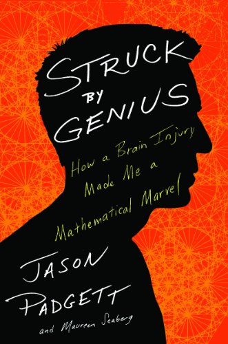 Struck by genius : how a brain injury made me a mathematical marvel