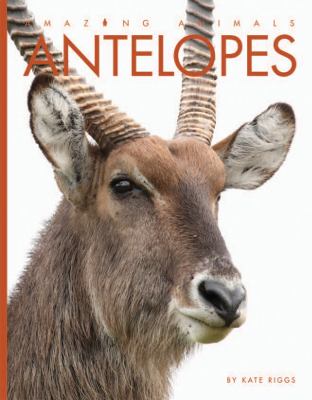 Antelopes