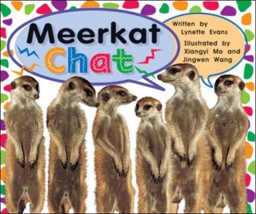 Meerkat chat