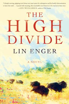 The high divide : a novel