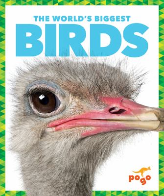 The world's biggest birds