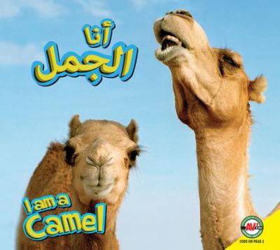 I am a camel