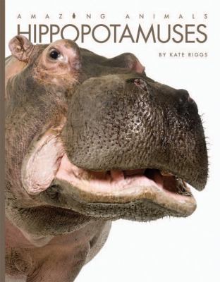 Hippopotamuses