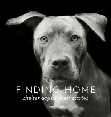 Finding home : shelter dogs & their stories