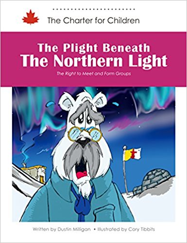 The plight beneath the northern light : the right to meet and form groups