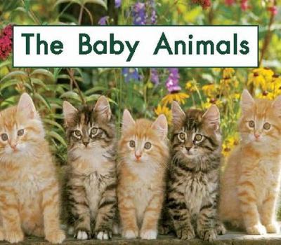 The baby animals