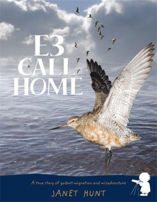 E3 call home