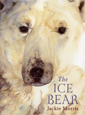 The ice bear