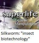 Silkworm : "insect biotechnology"