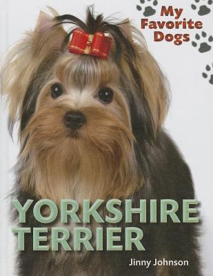 Yorkshire terrier