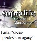 Tuna : "cross-species surrogacy"