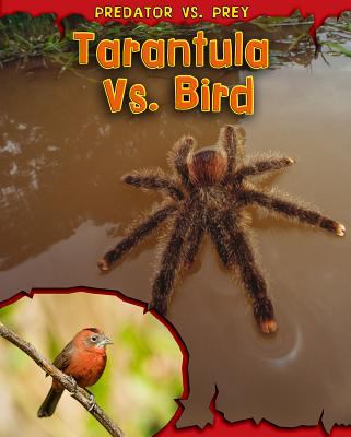 Tarantula vs. bird