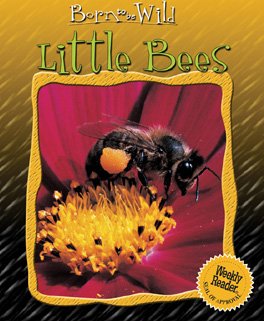 Little bees