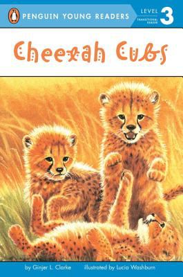 Cheetah cubs