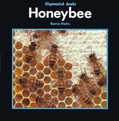 Honeybee