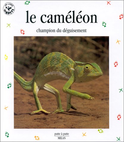 Le caméléon : acrobate multicolore