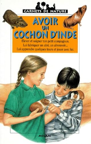 Avoir un cochon d'Inde