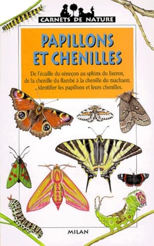 Papillons et chenilles