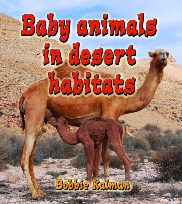Baby animals in desert habitats