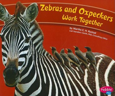 Zebras and oxpeckers work together