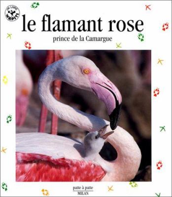 Le flamant rose : prince de la Camargue