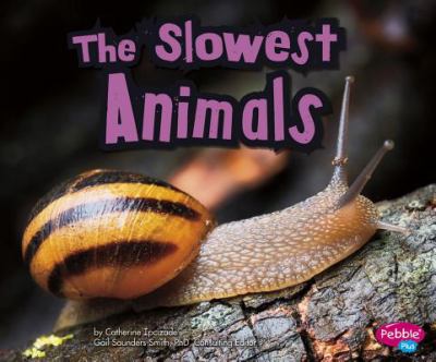 The slowest animals