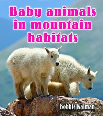Baby animals in mountain habitats