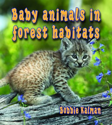 Baby animals in forest habitats