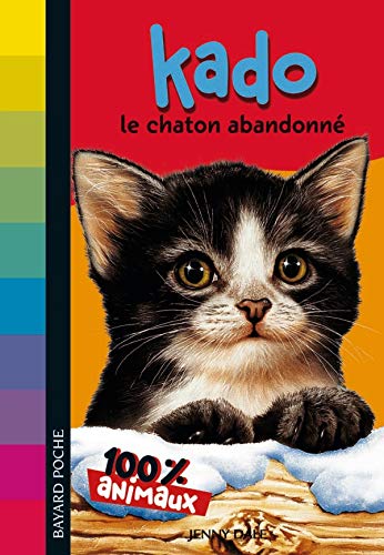 Kado, le chaton abandonné