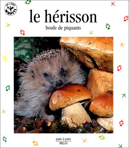 Le hérisson : boule de piquants