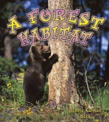 A forest habitat