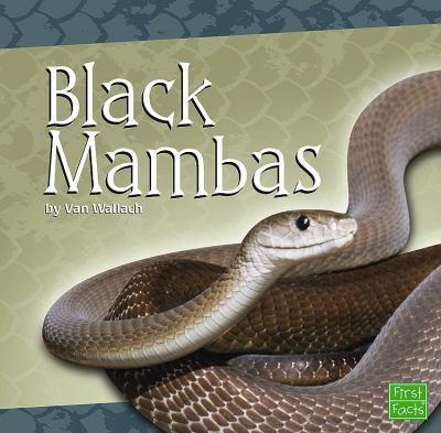 Black mambas