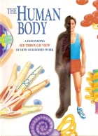 The human body : a fascinating see-through view of how our bodies work