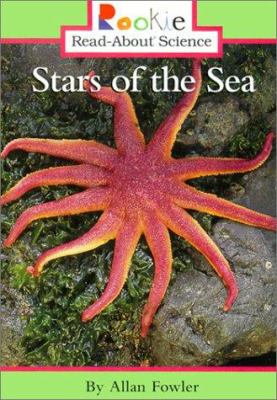 Stars of the sea