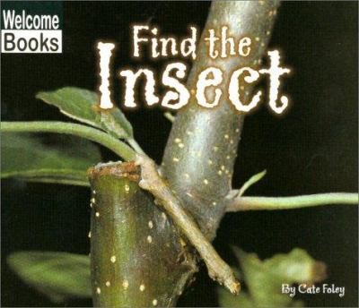 Find the insect