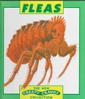 Fleas