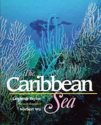 The Caribbean sea