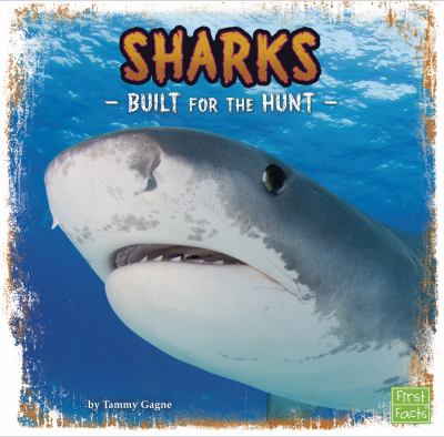 Sharks : built for the hunt